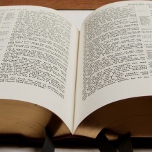 Sermon Archive